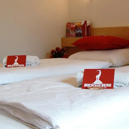 First Mountain Montafon Hotel 3*